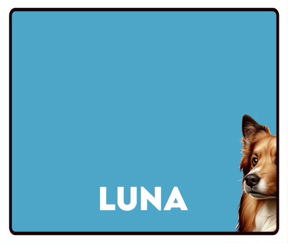 Pet Photo Placemats, Personalized Pet Food Mat, Pet Lovers Gifts, Custom Photo