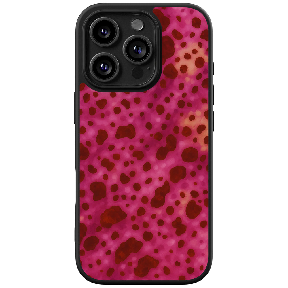 Basic case