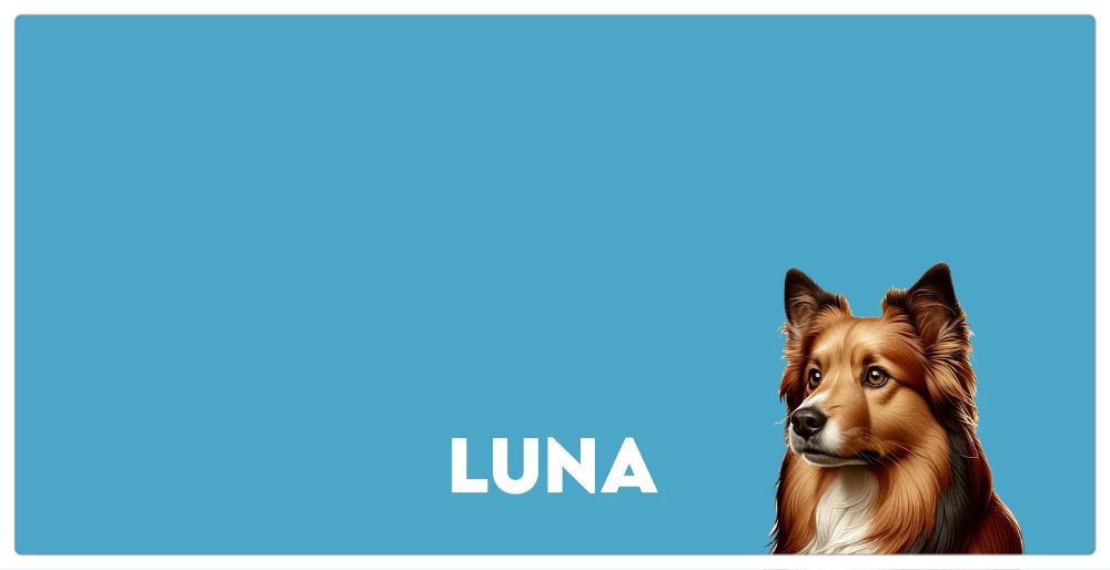 Pet Photo Placemats, Personalized Pet Food Mat, Pet Lovers Gifts, Custom Photo