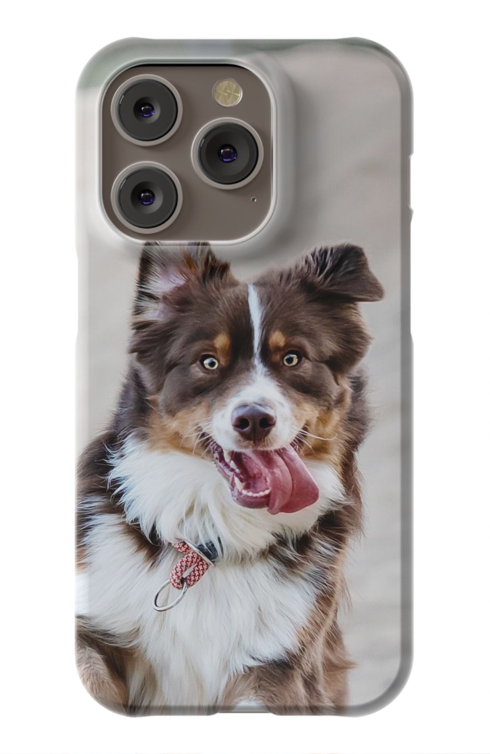 Personalized Dog Photo Phone Case