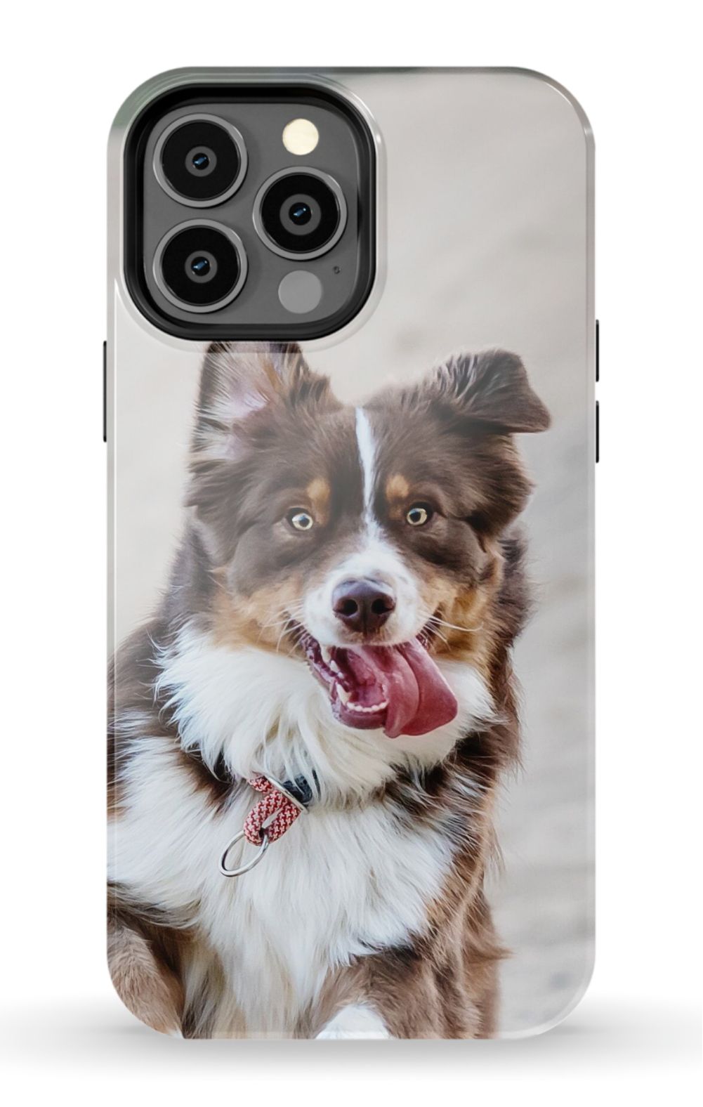 Personalized Dog Photo Phone Case