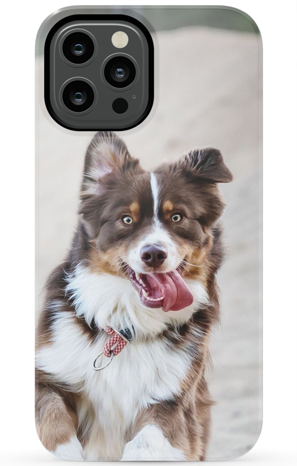 Personalized Dog Photo Phone Case