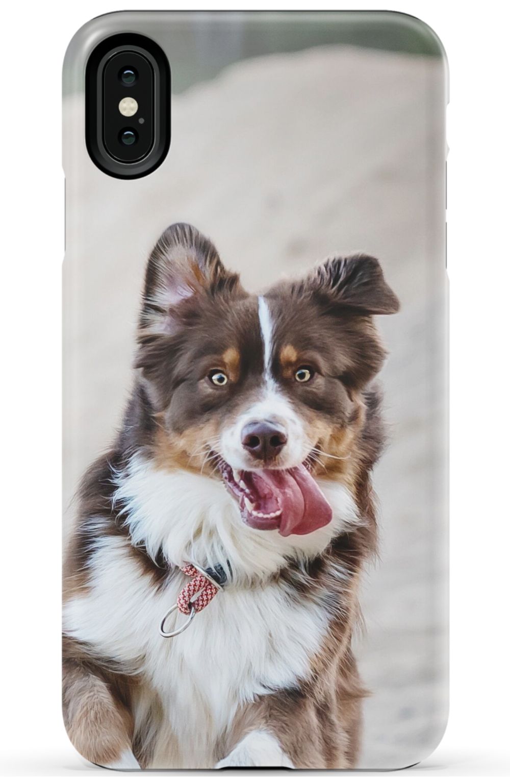 Personalized Dog Photo Phone Case