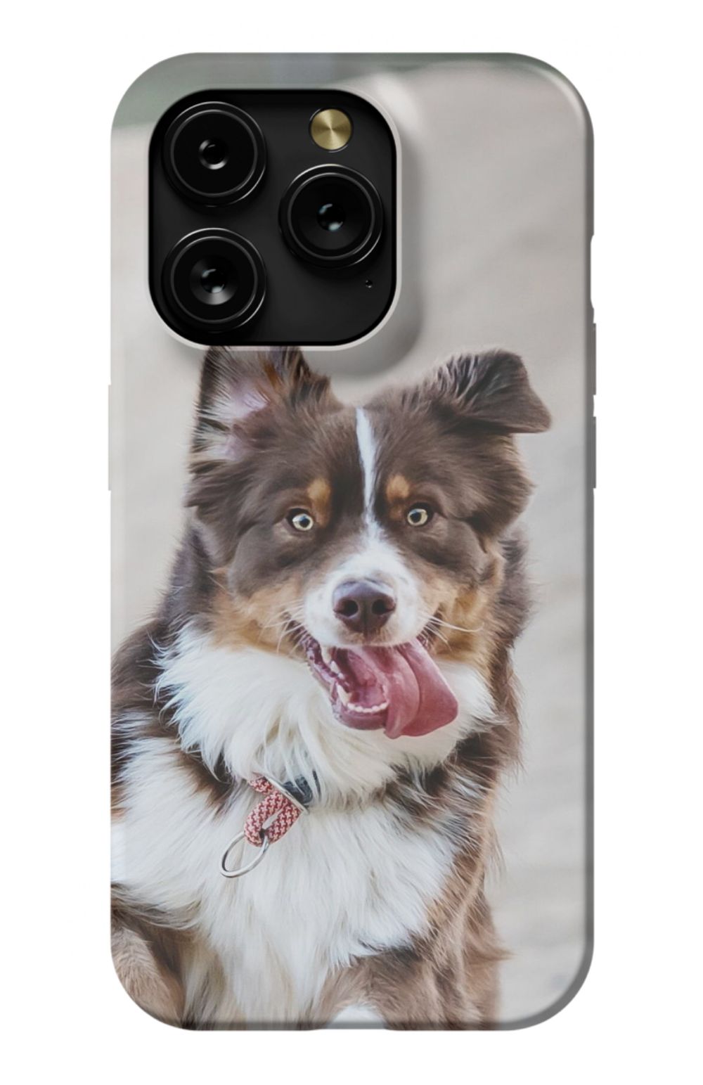 Personalized Dog Photo Phone Case