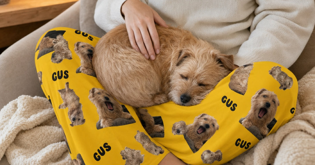 Personalized yellow pajama pants printed with photos of Gus while the matching dog rests on the wearer's lap.