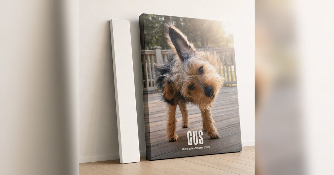 Classic and Gallery custom canvas profiles displayed side by side in a warm room.