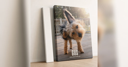 Classic and Gallery custom canvas profiles displayed side by side in a warm room.