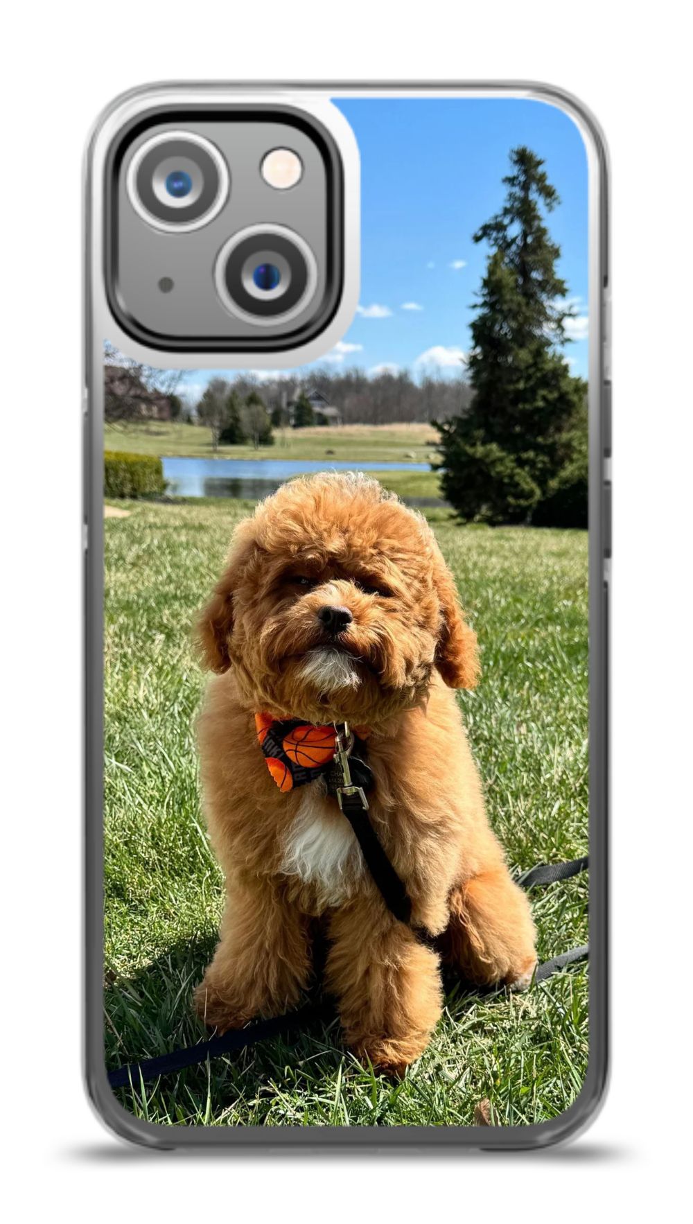 Custom Pet Phone Case