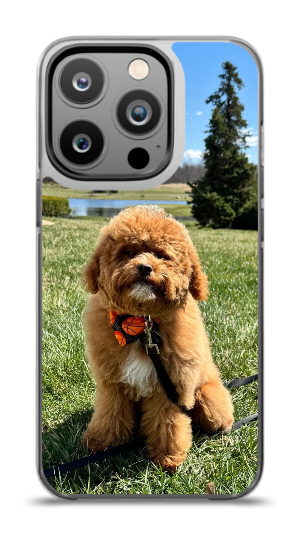 Custom Pet Phone Case