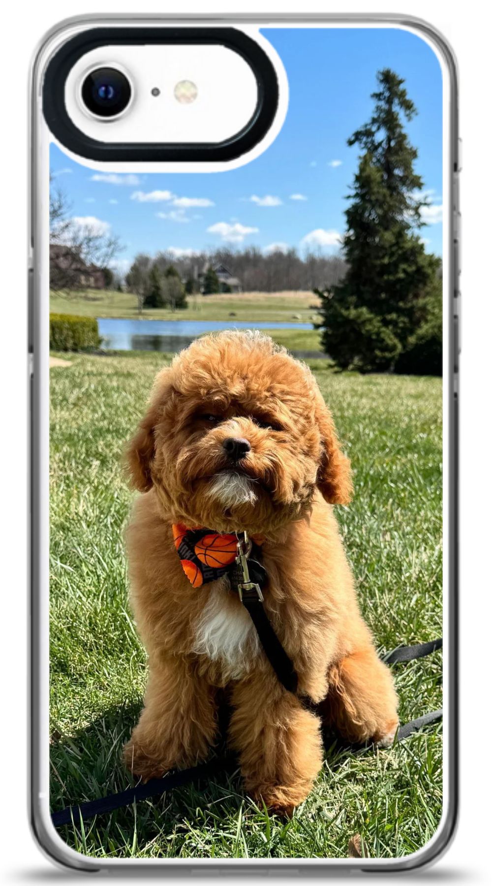 Custom Pet Phone Case