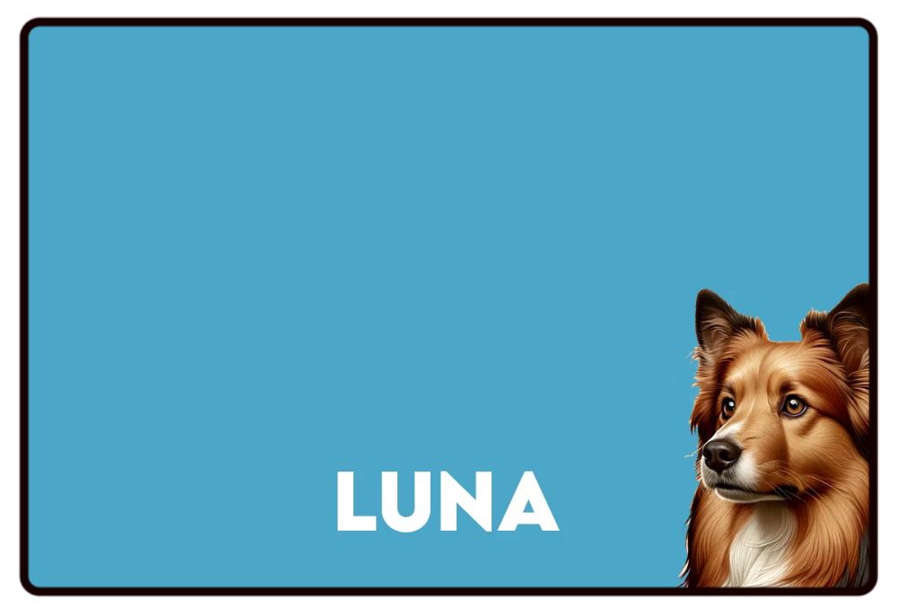 Pet Photo Placemats, Personalized Pet Food Mat, Pet Lovers Gifts, Custom Photo