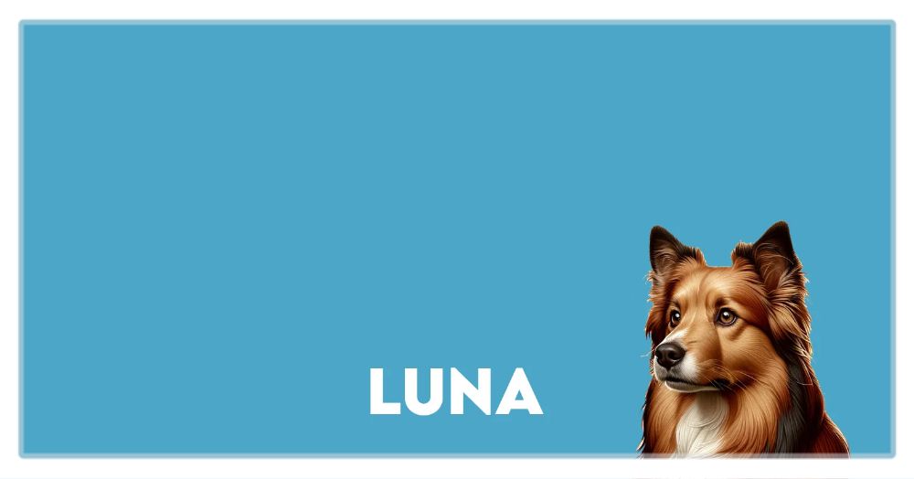 Pet Photo Placemats, Personalized Pet Food Mat, Pet Lovers Gifts, Custom Photo