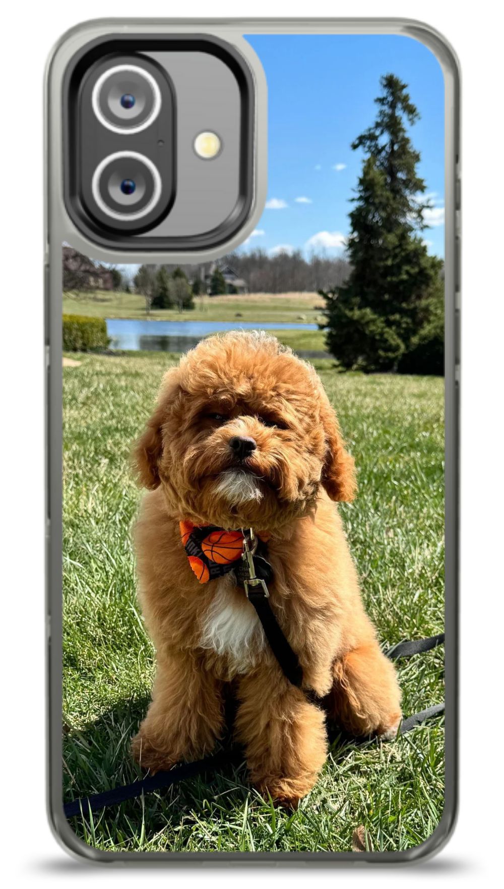 Custom Pet Phone Case