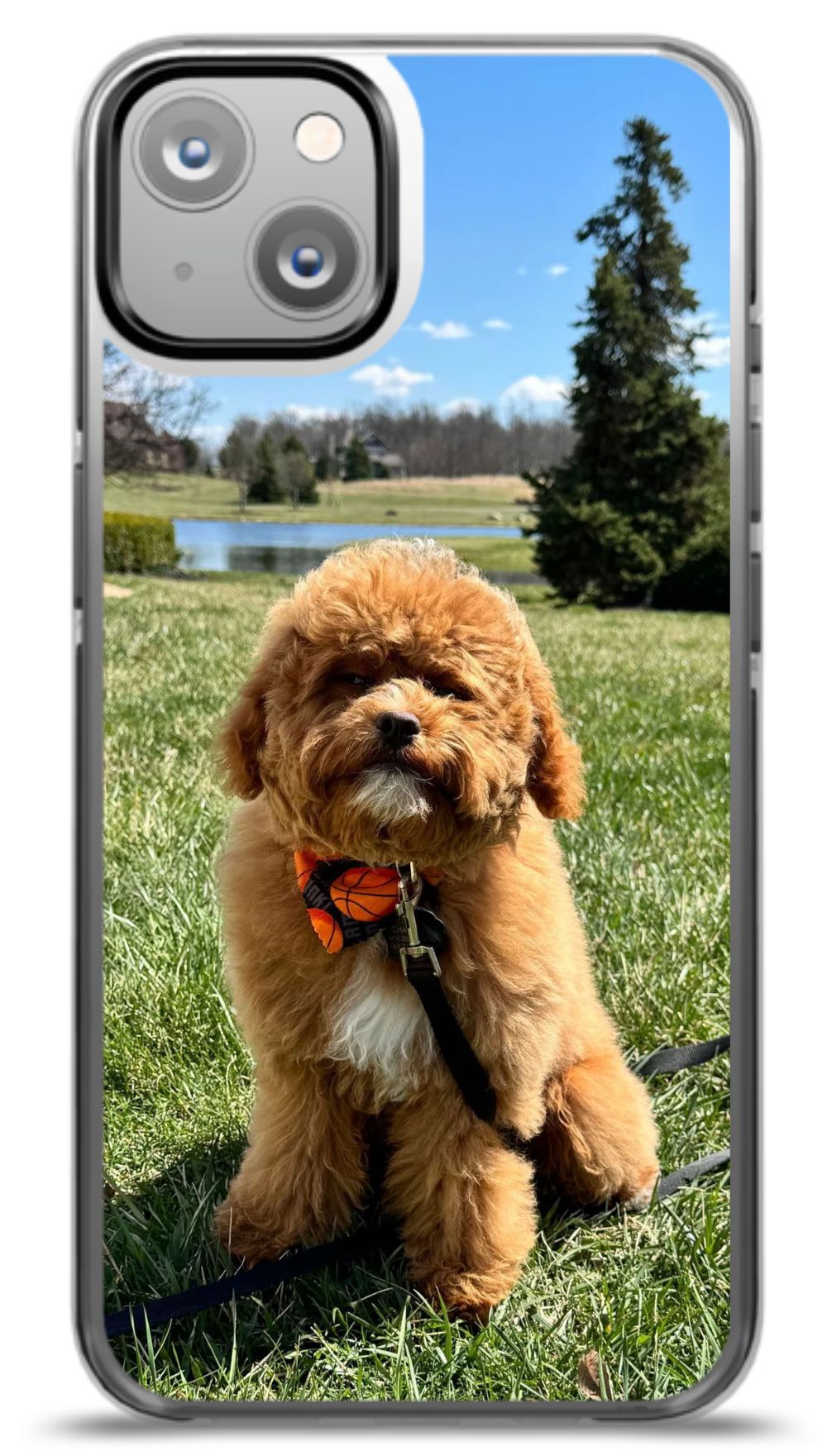 Custom Pet Phone Case