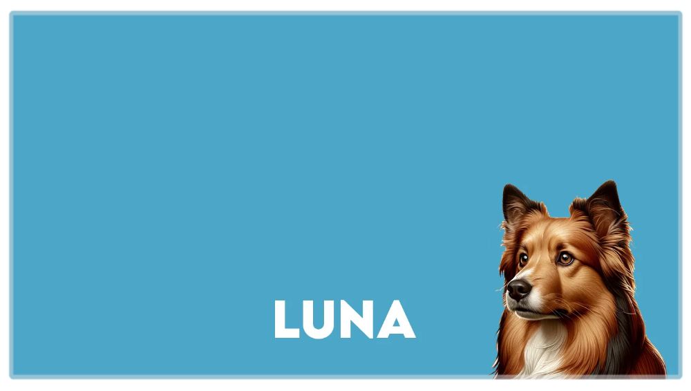Pet Photo Placemats, Personalized Pet Food Mat, Pet Lovers Gifts, Custom Photo