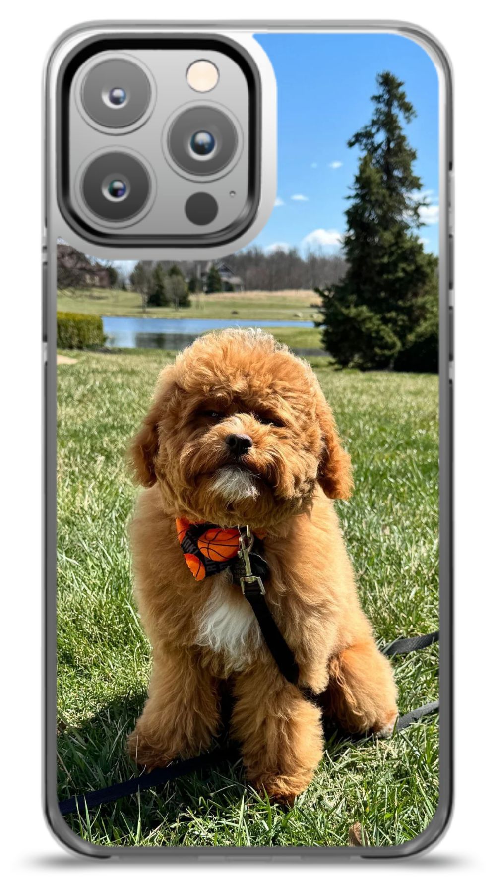Custom Pet Phone Case