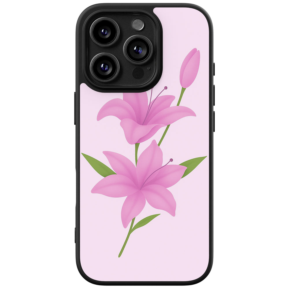 Basic case