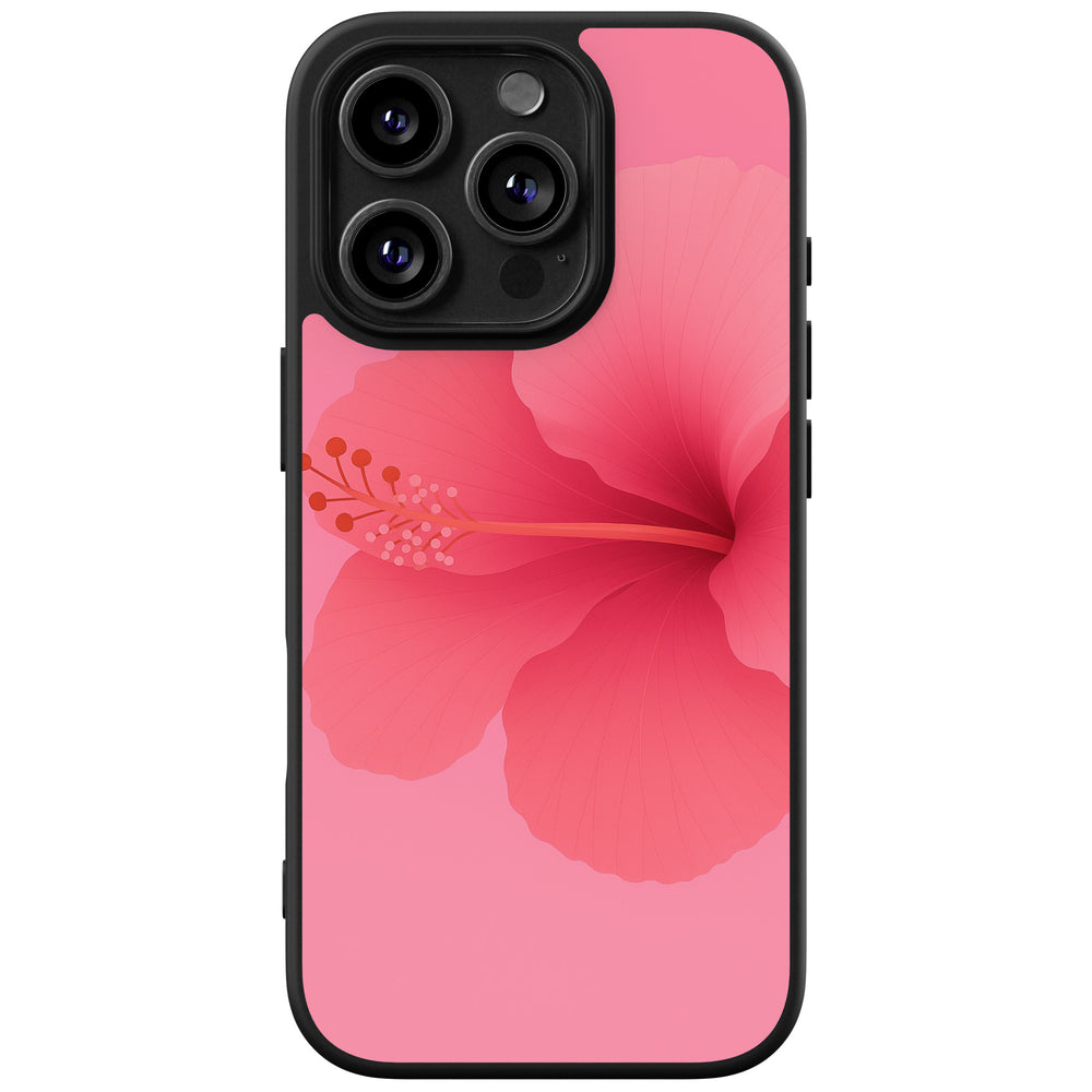 Basic case