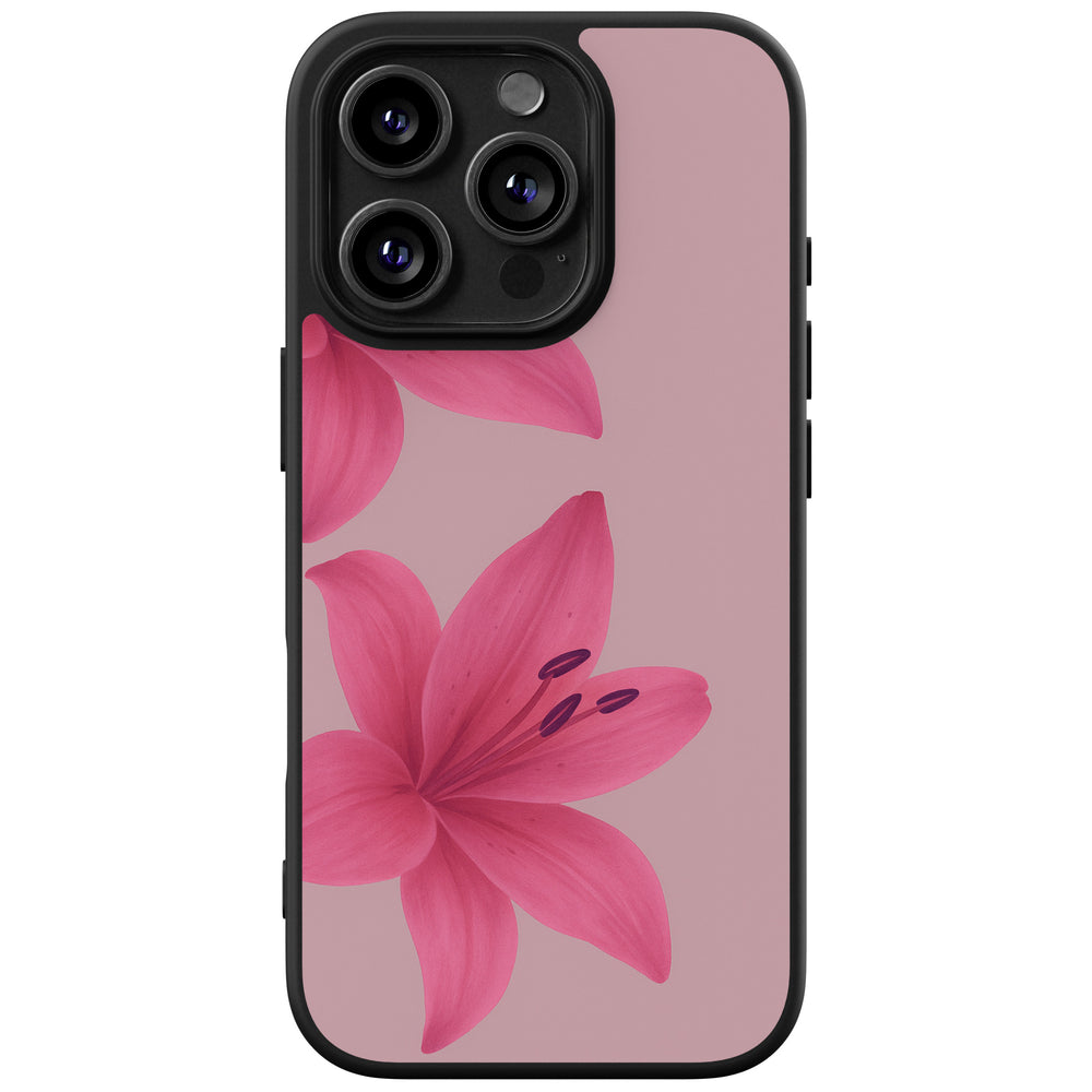 Basic case