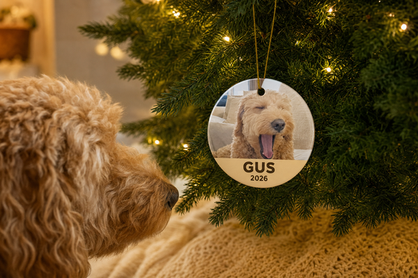 The Dog's First Ornament