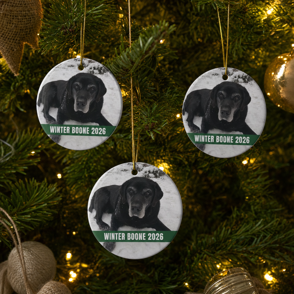 Three matching ceramic circle ornaments with the same black lab snow photo reading Winter Boone 2026 on one tree