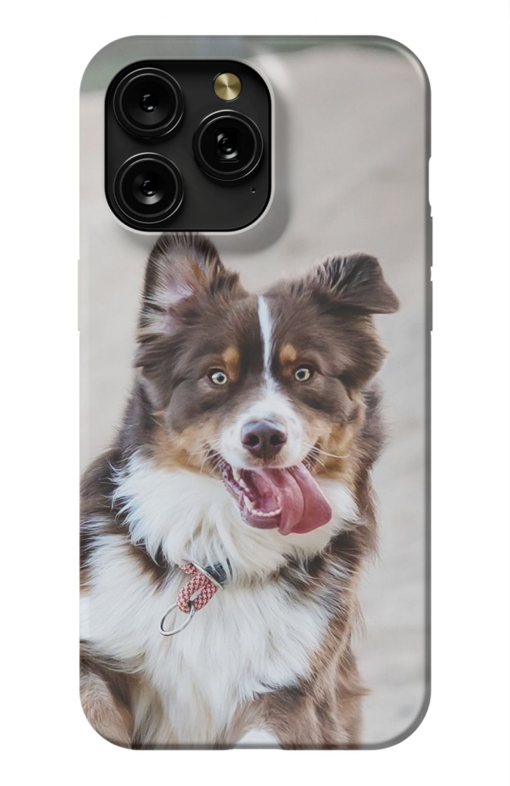 Personalized Dog Photo Phone Case