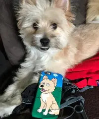 Custom phone case with nature photo